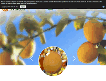 Tablet Screenshot of frutech.com